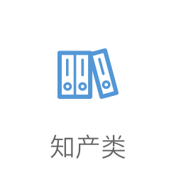 知产类
